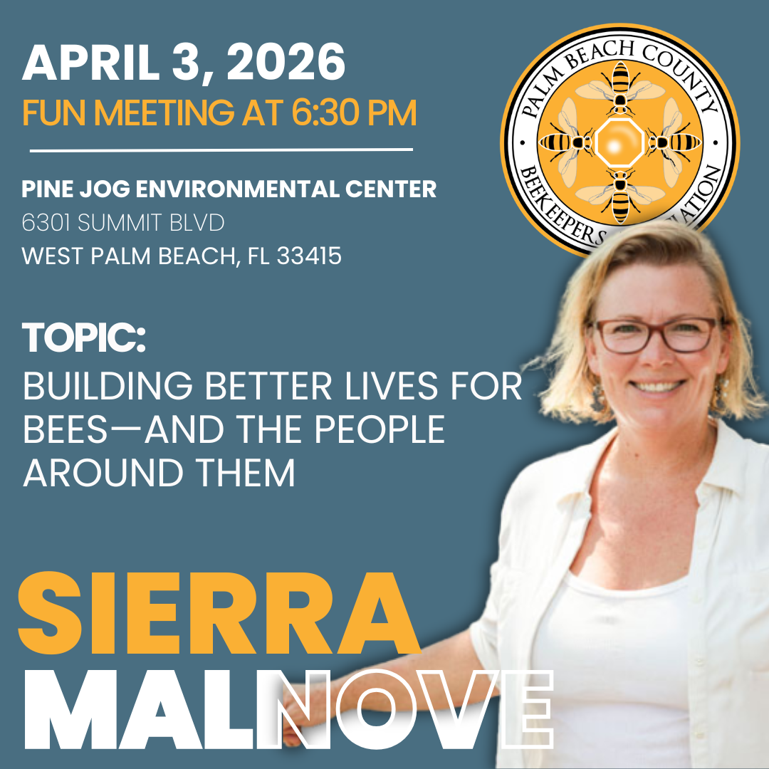 sierra%20(1).png?profile=RESIZE_584x