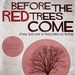 Before The Red Trees Come Thumbnail Photo