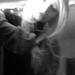 U_8565_t_9333052