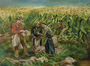 Joe Jones - Cornfield