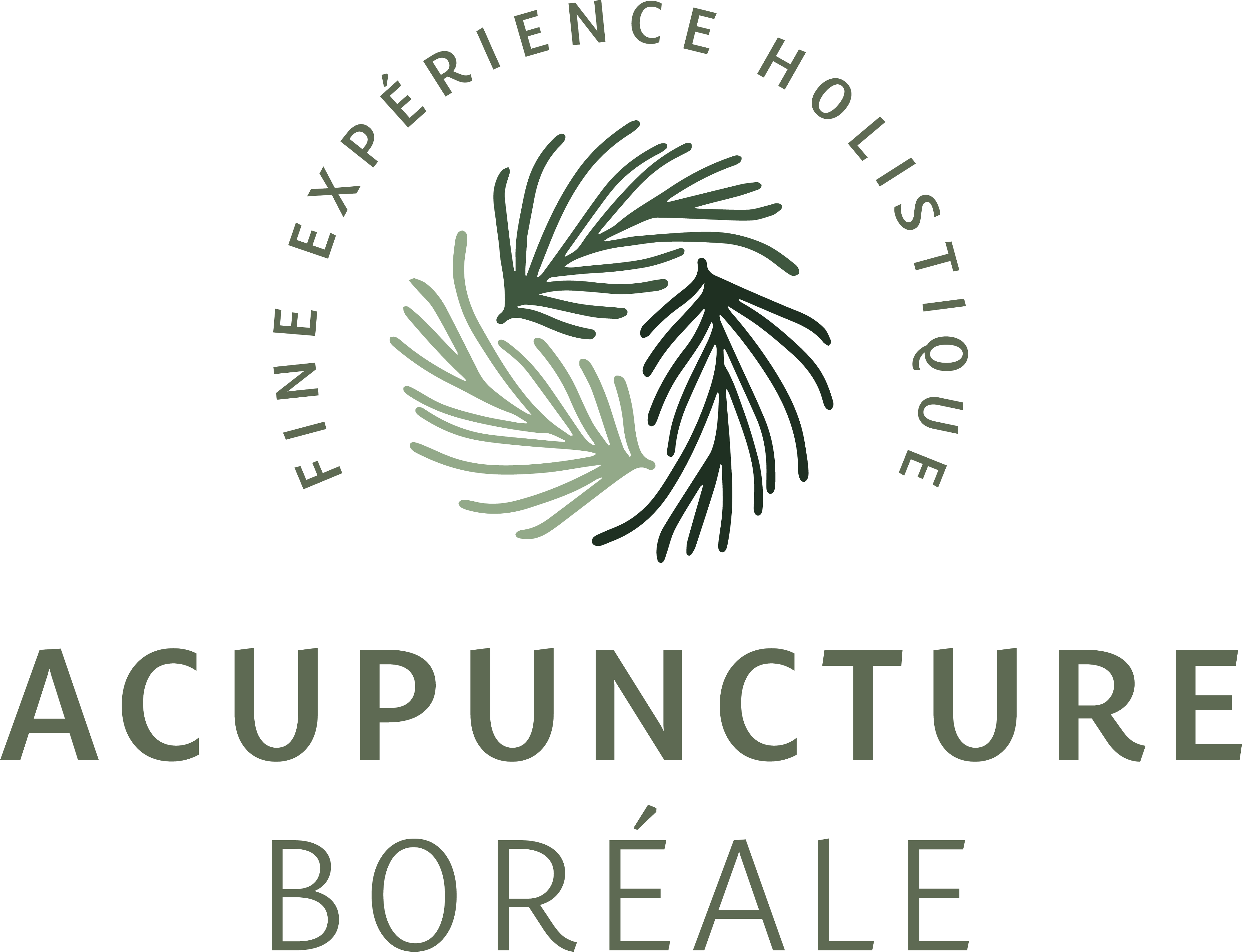 Acupuncture Boréale