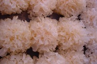 Small_thumb_tremella-fuciformis-extract