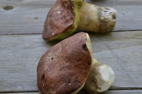 Small_thumb__dsc5440