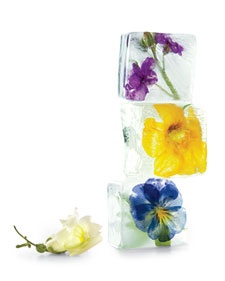 FLORES_02