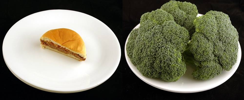 200-calories-food1-normal.jpg