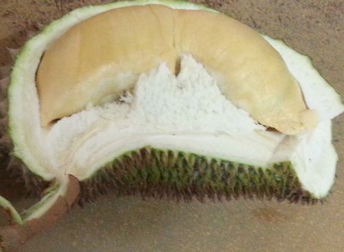 Durain season in Malaysia