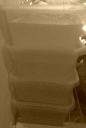 Chicken stock