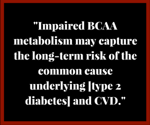 BCAA metabolism