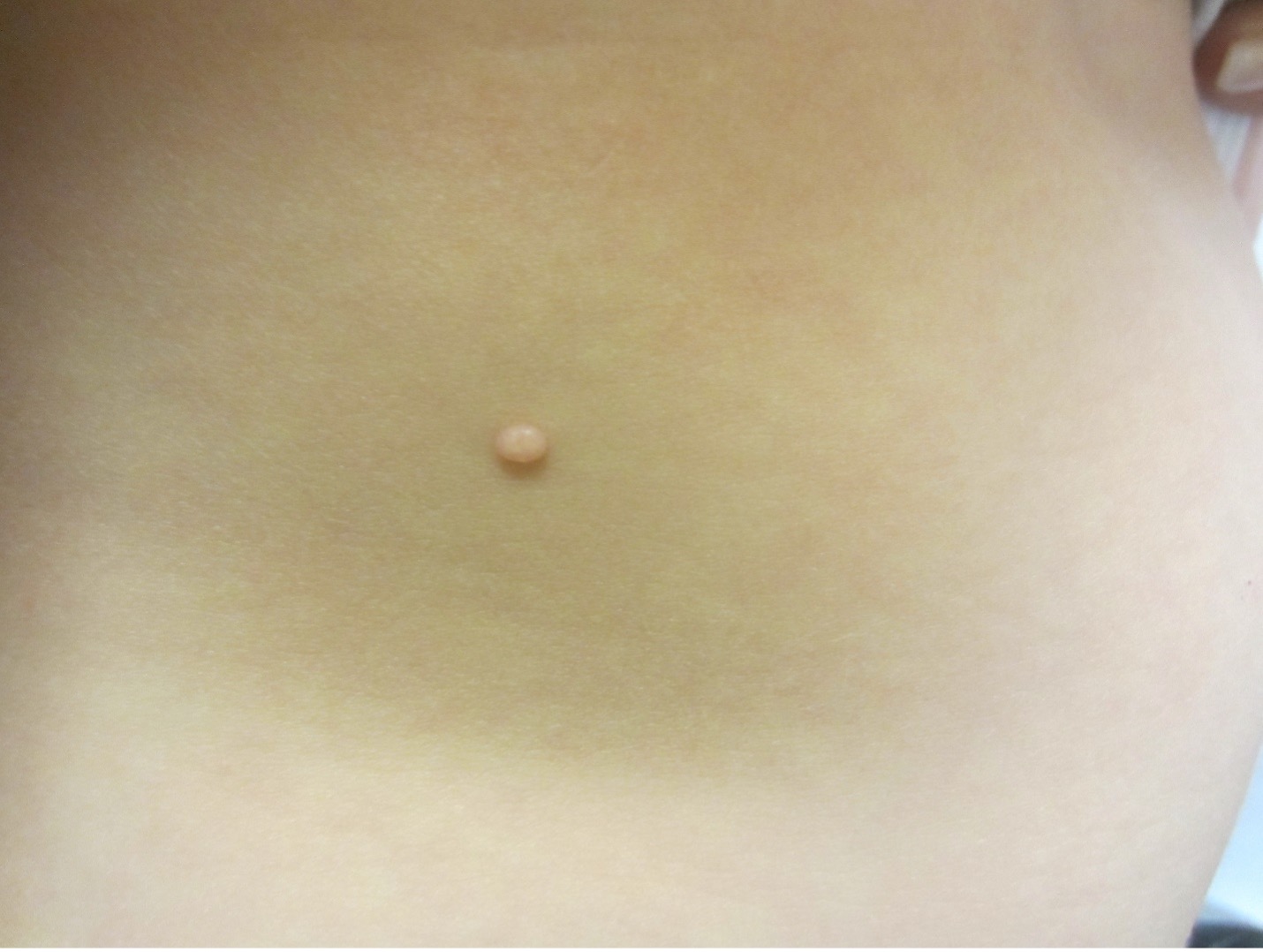 Figure 8
