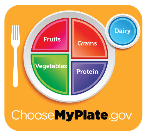 Figure. Illustration showing the allocation of food groups and portions using the MyPlate method to ensure healthful eating. Source: US Department of Agriculture.