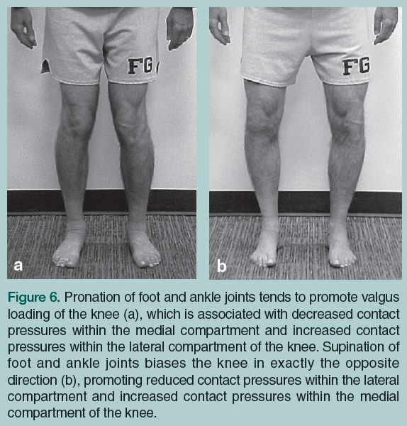 foot and ankle joints