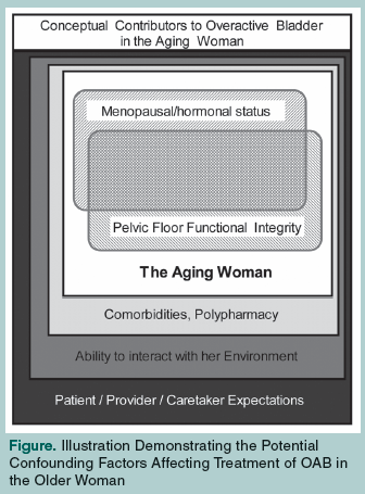 contributors to overactive bladder