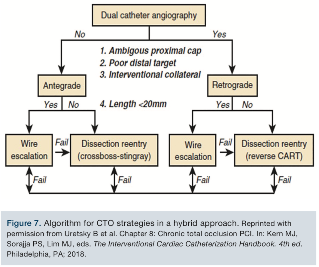 A Primer on Chronic Total Occlusion (CTO) Percutaneous Coronary ...