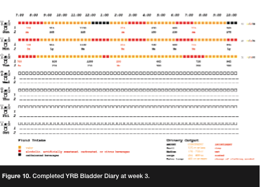The Yellow-Red-Black Bladder Diary: Red-Yellow-Black is Not Just for Wounds