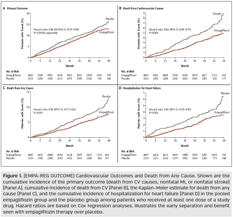 cardiovascular outcomes