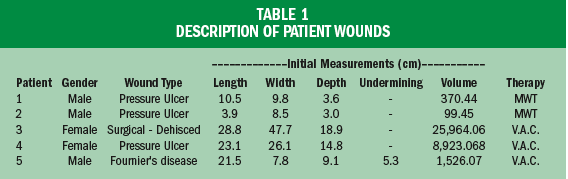 A Clinically Relevant Wound Assessment Method to Monitor Healing ...