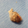 Derm DX