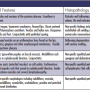 Derm DX Table 1