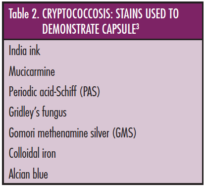 Treating Rare Fungal Infections: Cryptococcosis