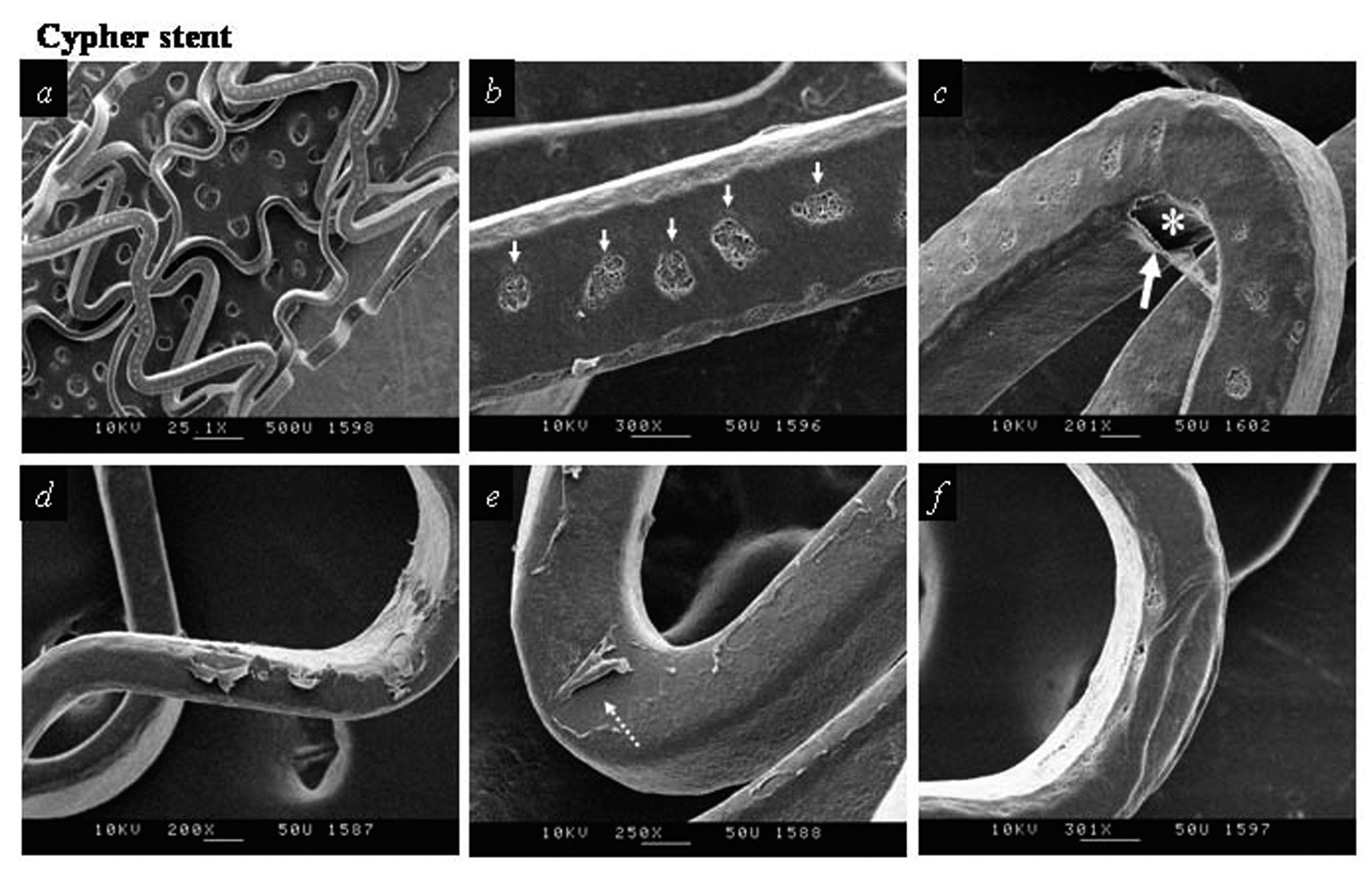 Scanning Electron Microscopic Analysis of Defects in Polymer Coatings ...