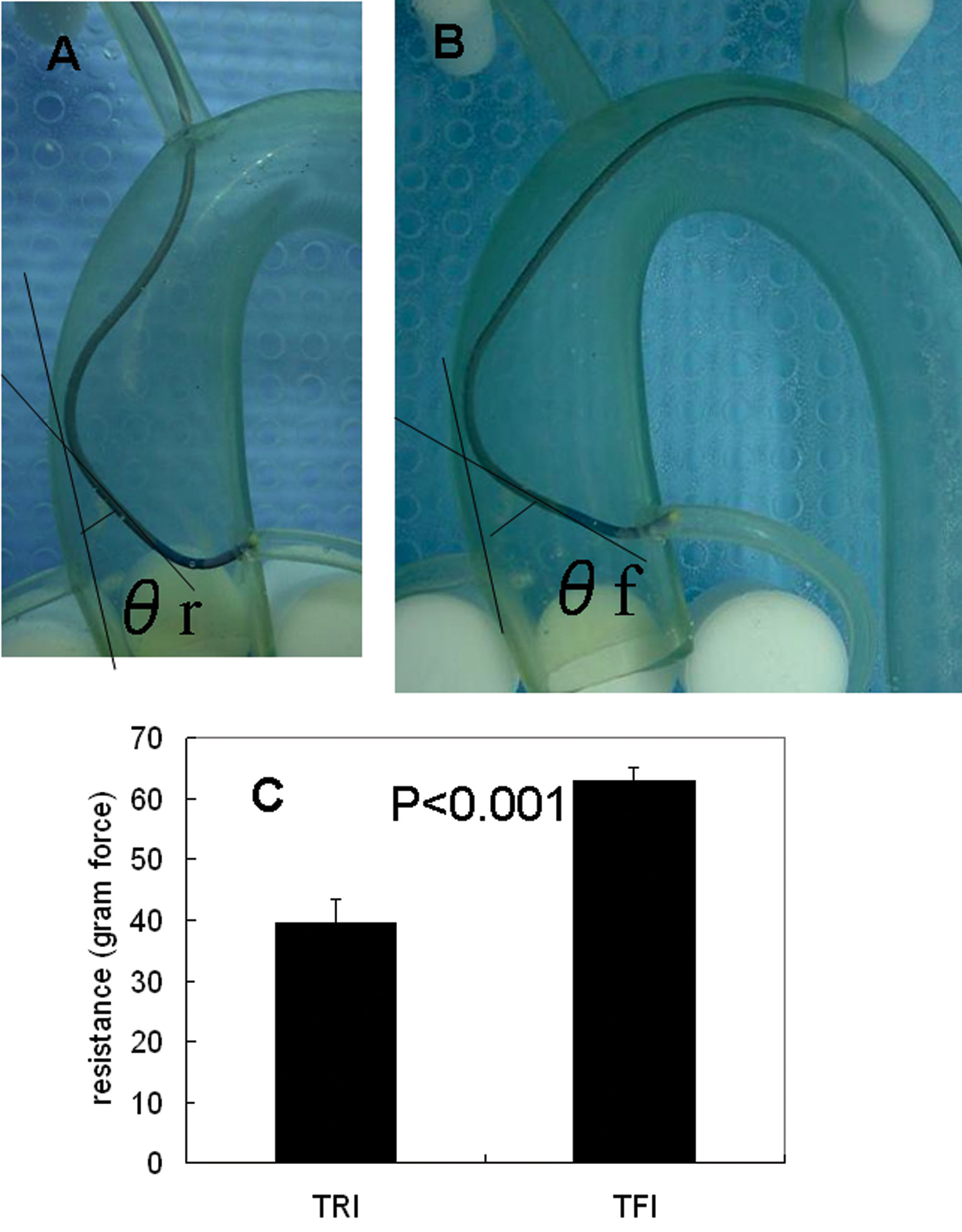 The Physics of Guiding Catheters for the Left Coronary Artery in