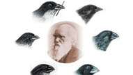 Understanding Evolution: Inheritance & Change