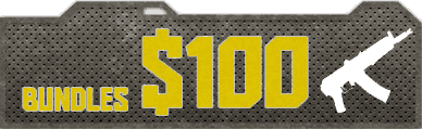 $100 Bundles
