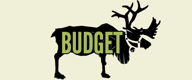 Budget Guide
