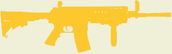 M4 RIS