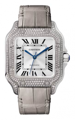 Cartier WJSA0008 Watches