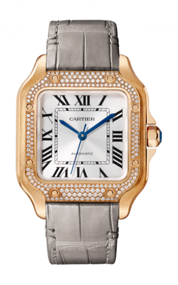 santos de cartier watch