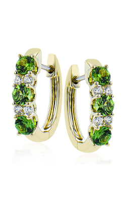 Zeghani Precious Stone Earring Ze728-y product image