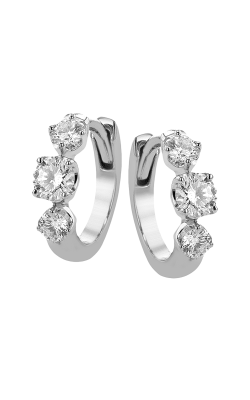 Zeghani Hoop Earring Ze872 product image