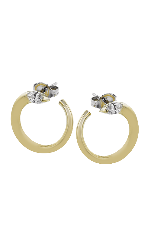 Zeghani Minimalist Earring Ze854-yproduct image