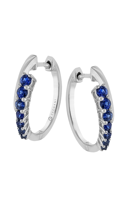 Zeghani SG Earrings ZE910product image