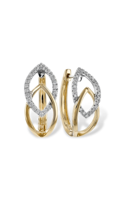 Allison Kaufman Earrings Earrings A216-44075 T product image