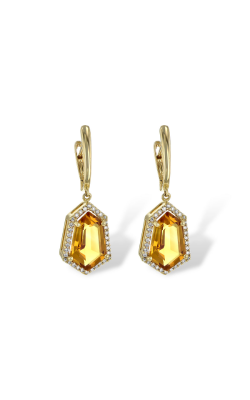 Allison Kaufman Earrings Earrings D217-28584 Y product image