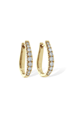 Allison Kaufman Earrings Earrings D217-30429 Y product image