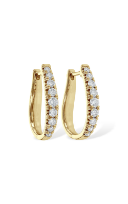 Allison Kaufman Earrings Earrings B217-30429 Y product image