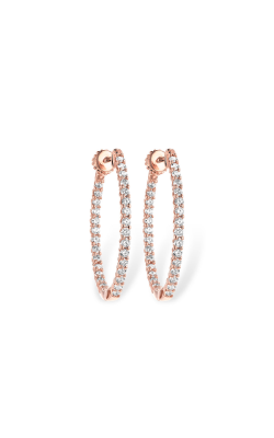 Allison Kaufman Earrings Earrings B214-62229 P product image