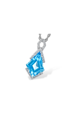Allison Kaufman Necklaces Necklace C300-02184 W product image