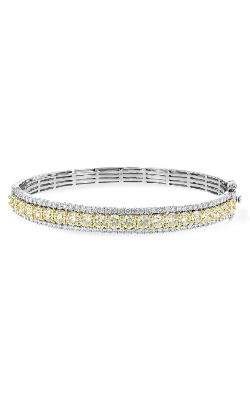 Allison Kaufman Bracelets Bracelet M216-39483_TRproduct image
