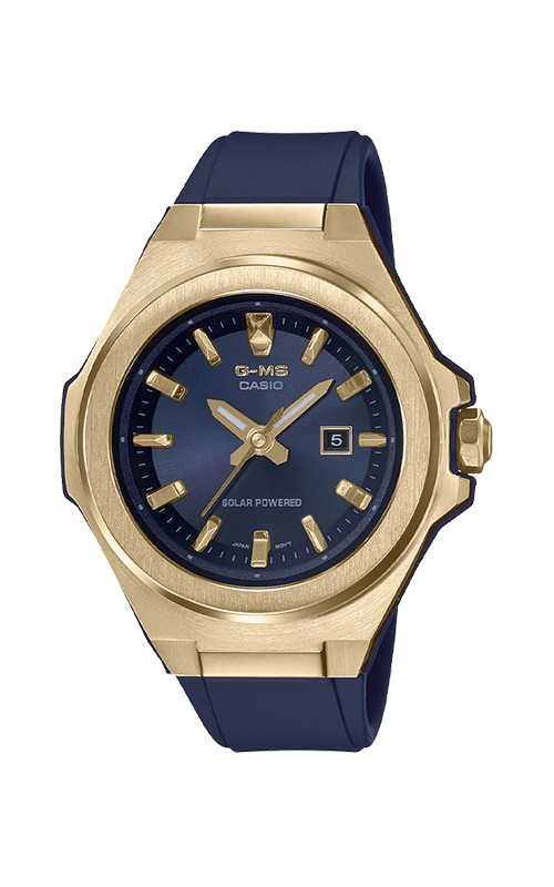 casio msg 500