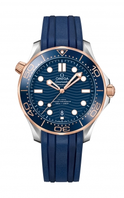 Omega Seamaster Watch 210.22.42.20.03.002 product image