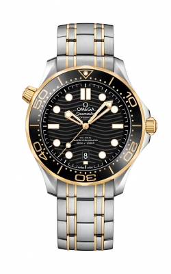 Omega Seamaster Watch 210.20.42.20.01.002 product image