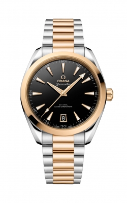 Omega Seamaster Aqua Terra Watch 220.20.41.21.01.001 product image