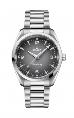 Omega Seamaster Railmaster Watch 235.10.38.20.06.001 product image