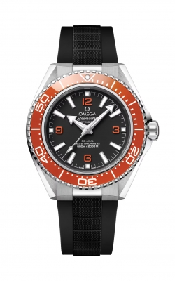 Omega Seamaster Watch 217.32.42.21.01.003 product image