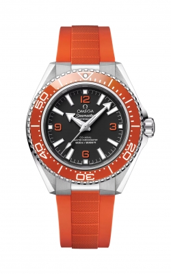 Omega Seamaster Watch 217.32.42.21.01.004 product image