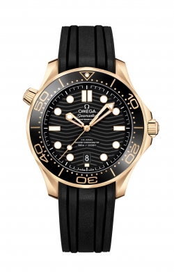 Omega Seamaster Watch 210.62.42.20.01.003 product image